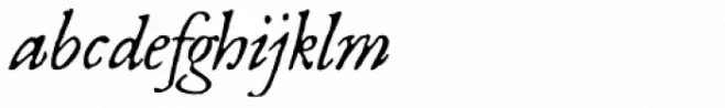 1669 Elzevir Italic