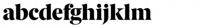 Berlingske Serif Std Black
