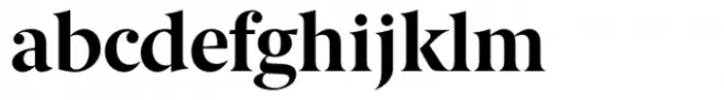 Berlingske Serif Std Bold