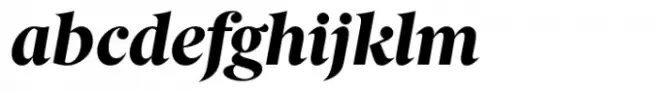 Berlingske Serif Std Extrabold Italic