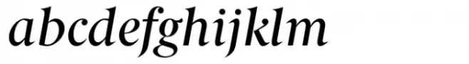 Berlingske Serif Std Medium Italic