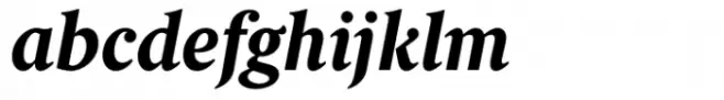 Berlingske Serif Text Std Bold Italic