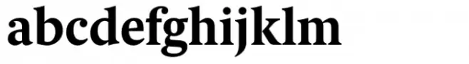 Berlingske Serif Text Std Bold