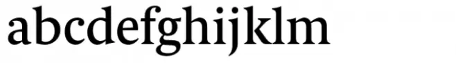 Berlingske Serif Text Std Medium