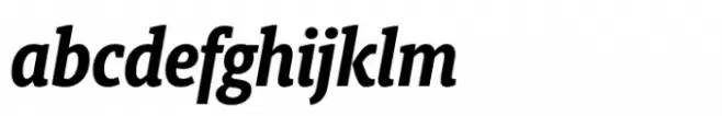 Berlingske Slab Condensed Std Bold Italic
