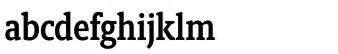 Berlingske Slab Condensed Std Demibold