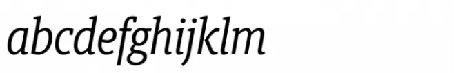Berlingske Slab Condensed Std Italic