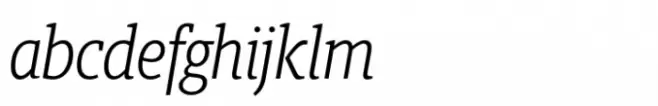 Berlingske Slab Condensed Std Light Italic