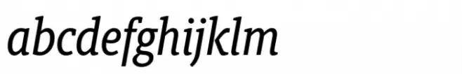 Berlingske Slab Condensed Std Medium Italic