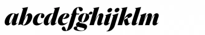Colagent Black Italic