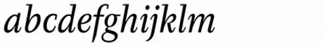 Diogenes Italic