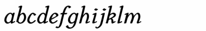 Euroika Kamp Medium Italic