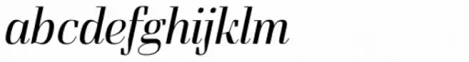 Felis Italic Light