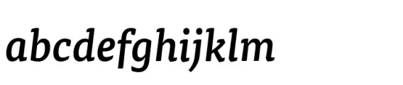 FF Tisa® Paneuropean Medium Italic