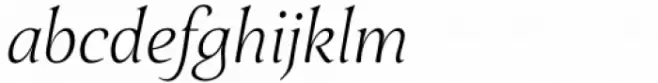 Fielding Light Italic