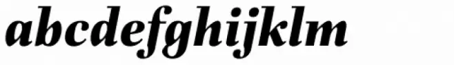 Fiorina Subhead Extra Bold Italic