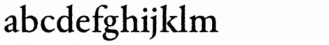 Garamond Rough Pro Medium