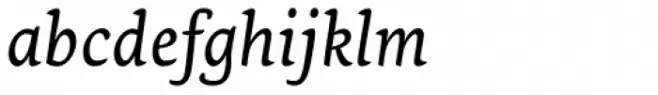 Ginkgo Pro Italic