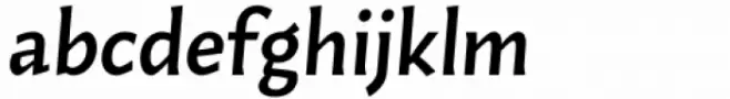 Humus Medium Italic