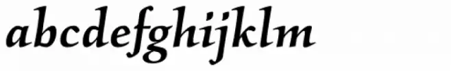 Kallos Pro Medium Italic