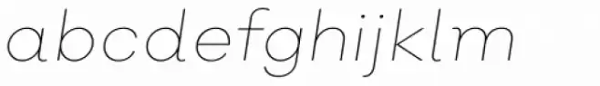 Nutmeg Thin Italic