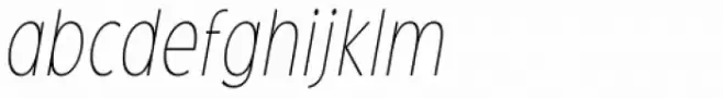 Oculi Magni Thin Italic