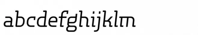P22 Hedonic Book Italic
