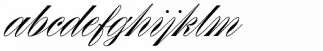 Rizado Script