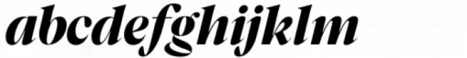 Segnieur Serif Display Black Italic