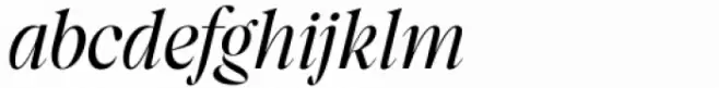 Segnieur Serif Display Light Italic