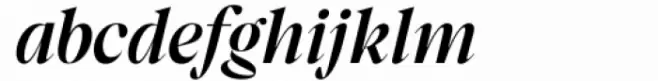 Segnieur Serif Display Medium Italic