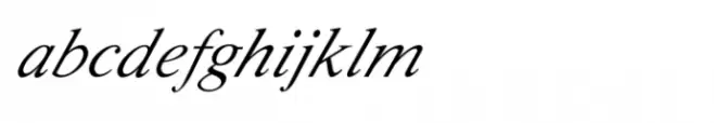 Shree Devanagari 0991 Italic