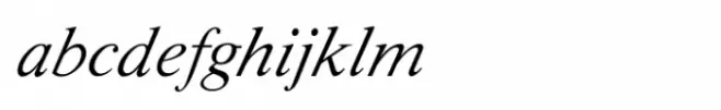 Shree Tamil 0838 Italic