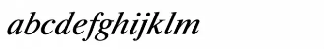 Shree Tamil  0838 Medium Italic