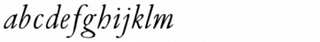 Van Dijck Std Italic