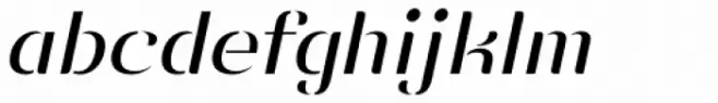 Vanage Light Italic