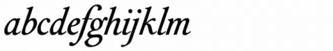 Vizille Medium Italic