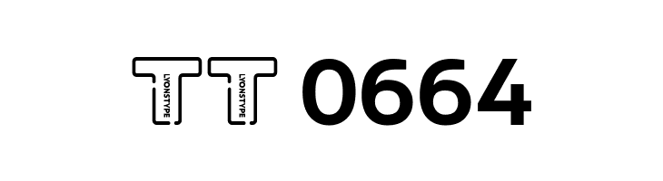 LT Wave Bold  Скачать бесплатные шрифты