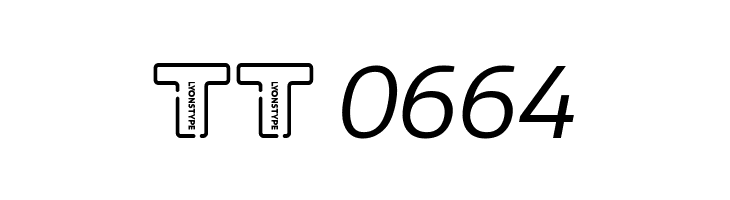 LT Wave Light Italic  Скачать бесплатные шрифты