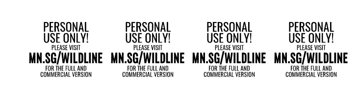 Wildline PERSONAL USE ONLY Regular  Скачать бесплатные шрифты