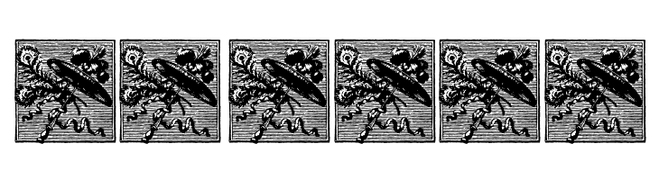 PompadourInitials  Скачать бесплатные шрифты