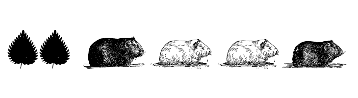 cacavia01  Скачать бесплатные шрифты