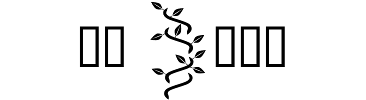 Kingthings Versalis  Скачать бесплатные шрифты