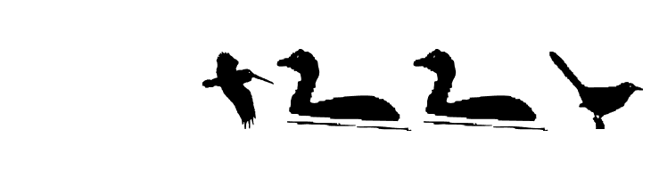 BirdsAndFriends  Скачать бесплатные шрифты