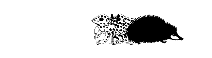 AnimalsAnywhere  Скачать бесплатные шрифты