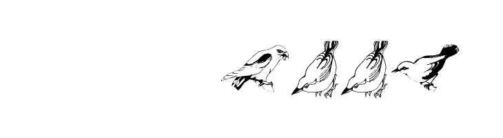 Blackbirds  Скачать бесплатные шрифты