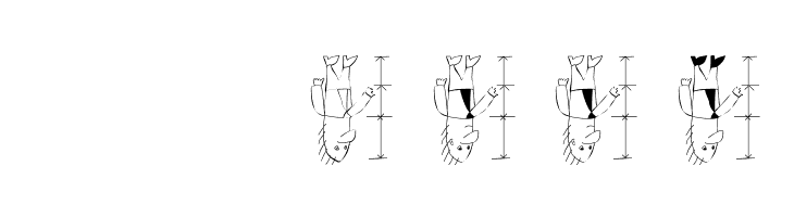 Proportions  Скачать бесплатные шрифты