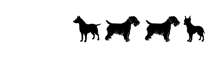 DogsFewCats  Скачать бесплатные шрифты