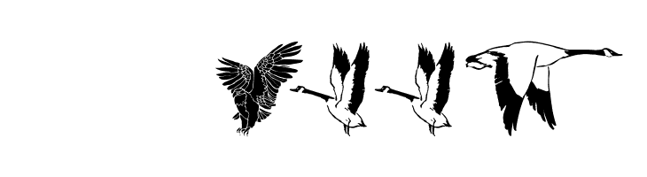 OwlsAndMore  Скачать бесплатные шрифты