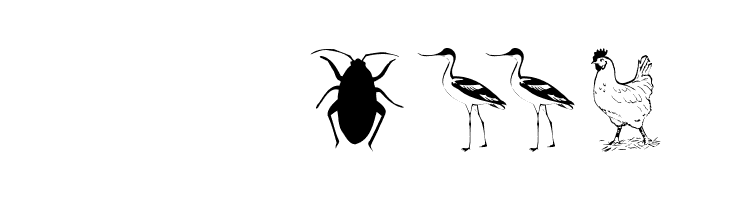 Zoology  Скачать бесплатные шрифты